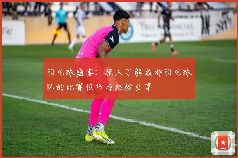 羽毛球盛宴：深入了解成都羽毛球队的比赛技巧与经验分享