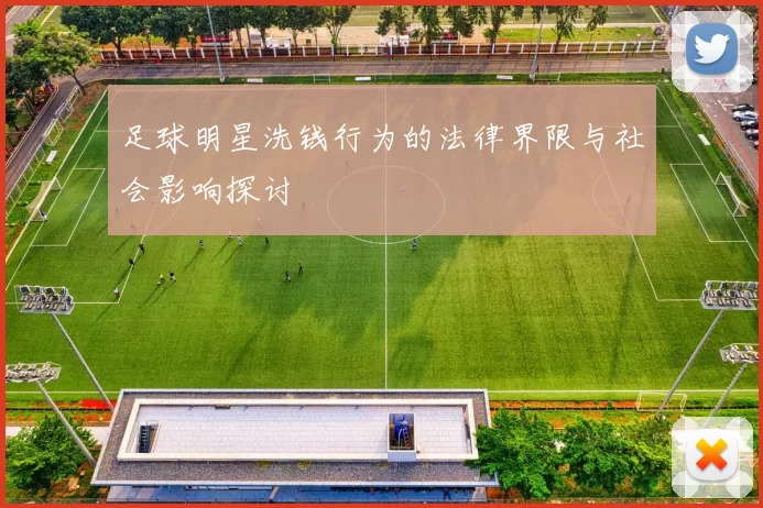 足球明星洗钱行为的法律界限与社会影响探讨