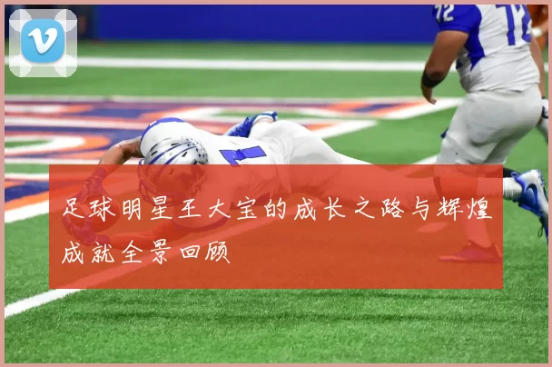 足球明星王大宝的成长之路与辉煌成就全景回顾