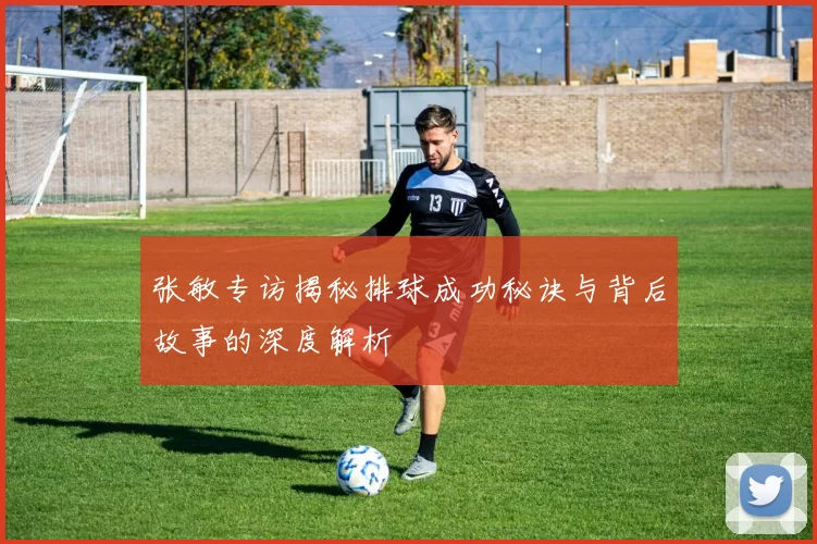 张敏专访揭秘排球成功秘诀与背后故事的深度解析