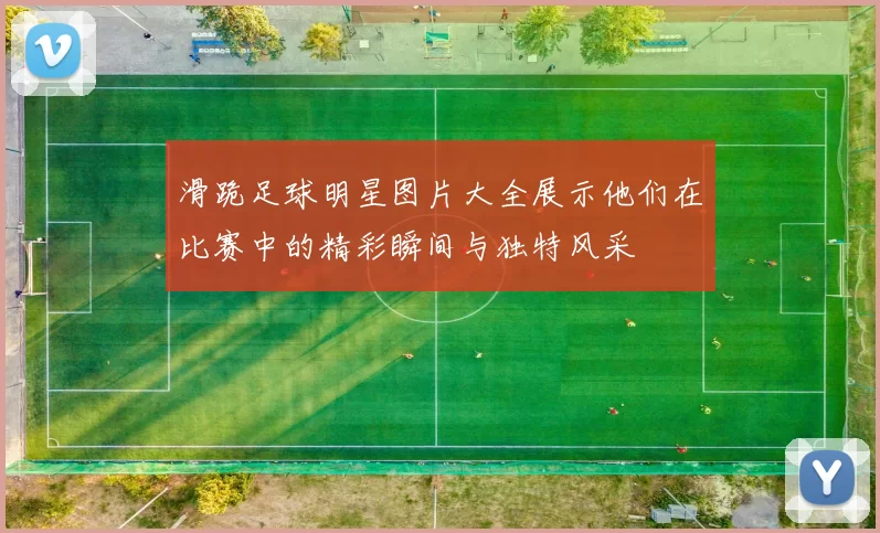 滑跪足球明星图片大全展示他们在比赛中的精彩瞬间与独特风采
