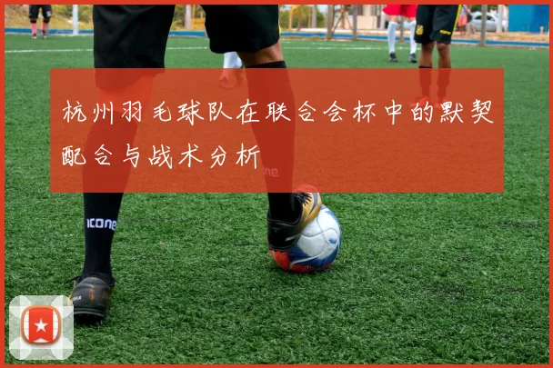 杭州羽毛球队在联合会杯中的默契配合与战术分析