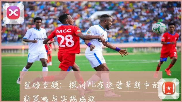 重磅专题：探讨WE在运营革新中的新策略与实践成效