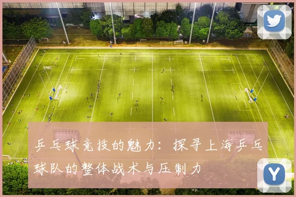 乒乓球竞技的魅力：探寻上海乒乓球队的整体战术与压制力