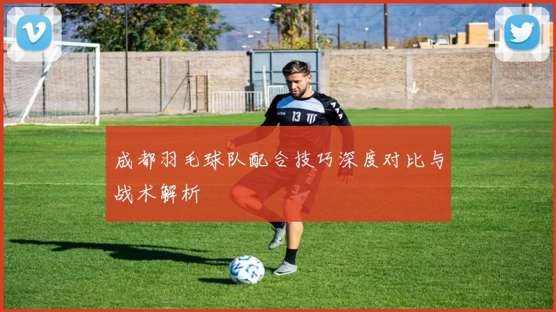 成都羽毛球队配合技巧深度对比与战术解析