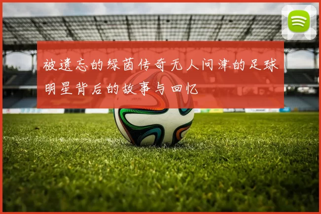 被遗忘的绿茵传奇无人问津的足球明星背后的故事与回忆