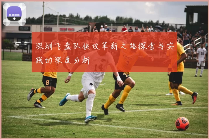 深圳飞盘队快攻革新之路探索与实践的深度分析