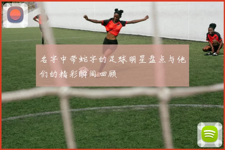 名字中带蛇字的足球明星盘点与他们的精彩瞬间回顾