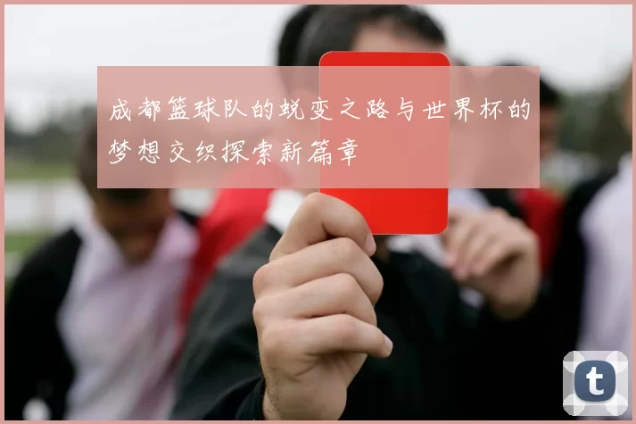 成都篮球队的蜕变之路与世界杯的梦想交织探索新篇章