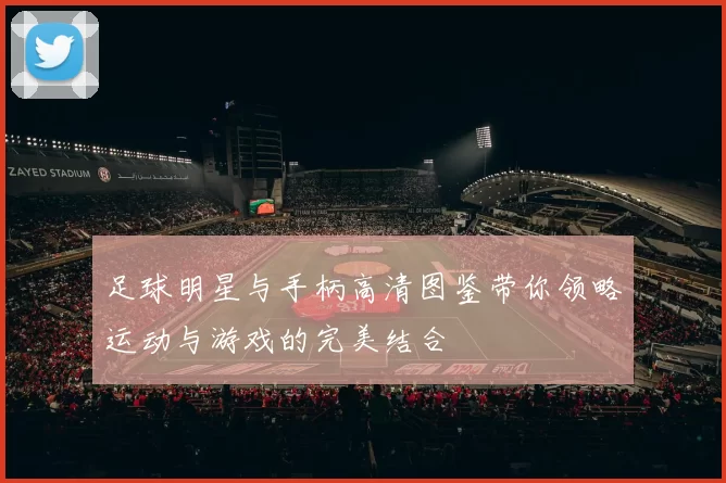 足球明星与手柄高清图鉴带你领略运动与游戏的完美结合