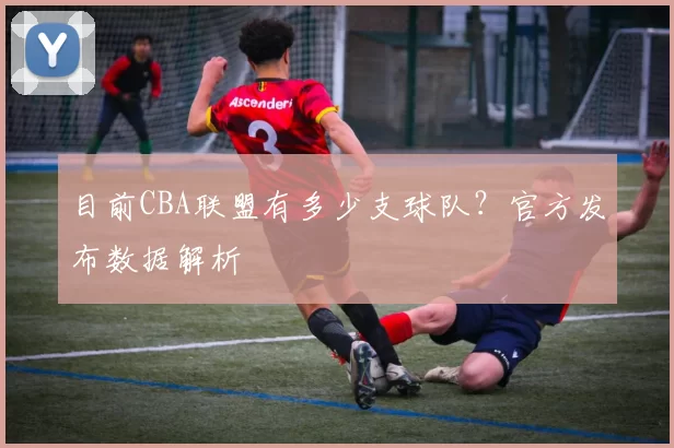目前CBA联盟有多少支球队？官方发布数据解析