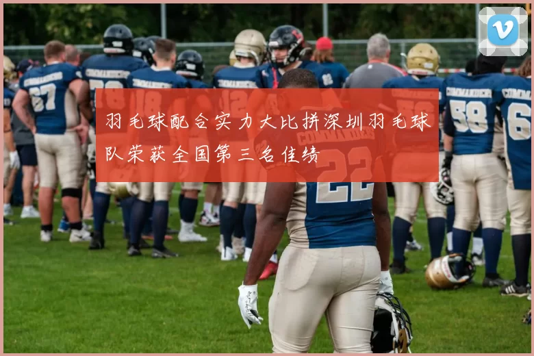 羽毛球配合实力大比拼深圳羽毛球队荣获全国第三名佳绩