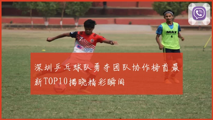 深圳乒乓球队勇夺团队协作榜首最新TOP10揭晓精彩瞬间