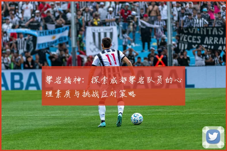 攀岩精神：探索成都攀岩队员的心理素质与挑战应对策略