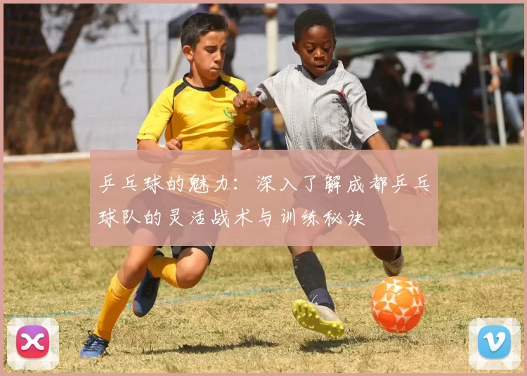 乒乓球的魅力：深入了解成都乒乓球队的灵活战术与训练秘诀