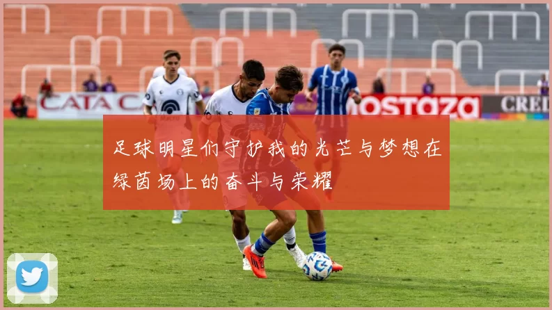 足球明星们守护我的光芒与梦想在绿茵场上的奋斗与荣耀